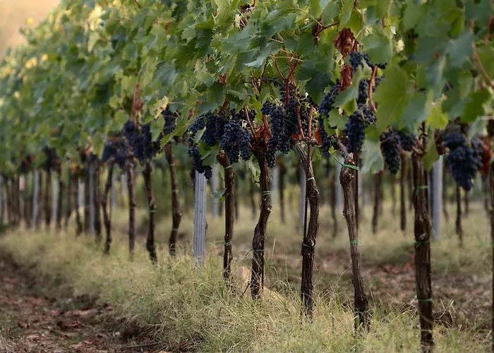 Agriturismo Casagrande